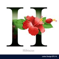 Letter H vector alphabet with hibiscus flower ABC concept