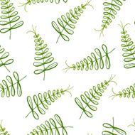 Seamless exotic pattern with tropical leaves on a white background N4