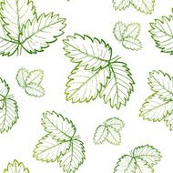 Seamless exotic pattern with tropical leaves on a white background N5