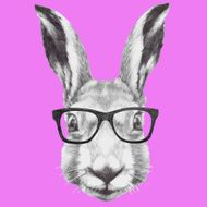 Hand drawn portrait of rabbit with glasses