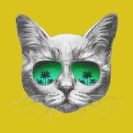 Hand drawn portrait of Cat with mirror sunglasses