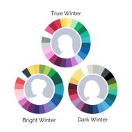 Winter type color palettes