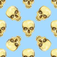 Watercolor skull in vintage style