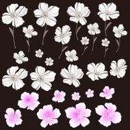 flower material N23