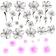 flower material N24
