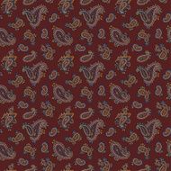 Paisley pattern N126
