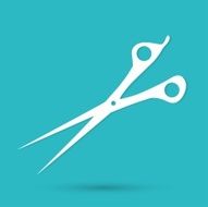 scissors icon N18