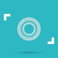 Camera Icon N21