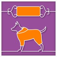 Dog Studio Template with Text Place