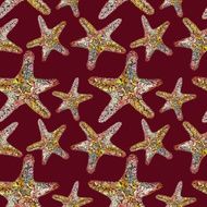Rich Pattern with Starfish
