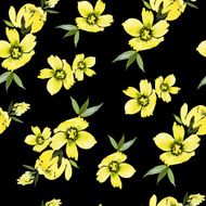 Watercolor flower pattern N47