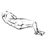 Female Silhouette N3