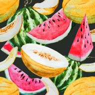 Watercolor watermelon melon pattern N5