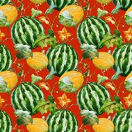 Watercolor watermelon melon pattern N7