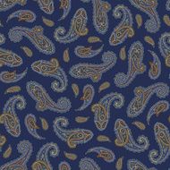 Paisley pattern N144