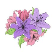 floral illustration N7