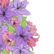 floral illustration N9