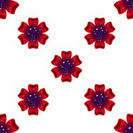 Beautiful rad flower Seamless floral pattern N5