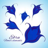 Ebru flowers