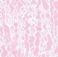 Lace seamless pattern with flowers N30