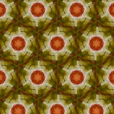 art vintage ethnic blurred watercolor floral pattern N3