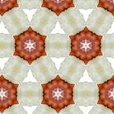 art vintage ethnic blurred watercolor floral pattern N6