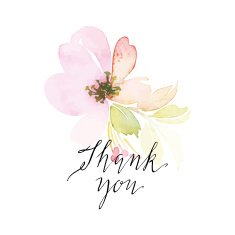 Watercolor greeting card flowers N49
