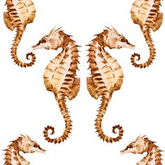 Watercolor seahorse pattern N4