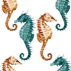 Watercolor seahorse pattern N7