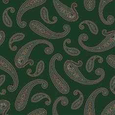 Paisley pattern N107