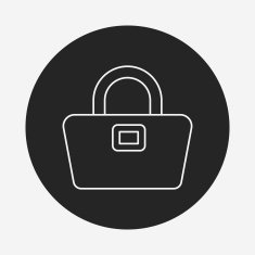 purse line icon N11