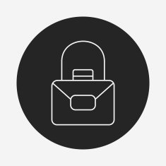 purse line icon N15
