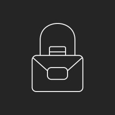 purse line icon N16