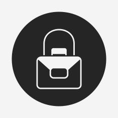 purse icon N34