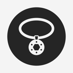 necklace icon N16