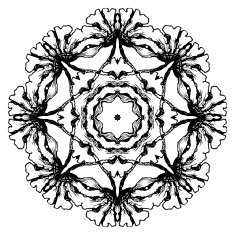 Black and white circular floral pattern Round ornamental pattern
