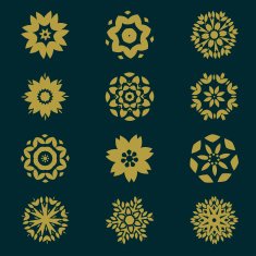 set of circles pattern with leaf and floral concept