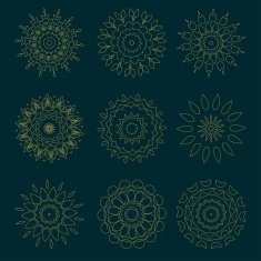 set of circles pattern with leaf and floral concept N2