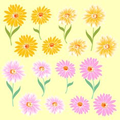 flower material N12