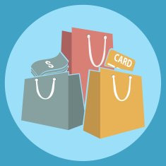 Shopping Bag Icon N20