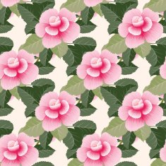 Roses N7