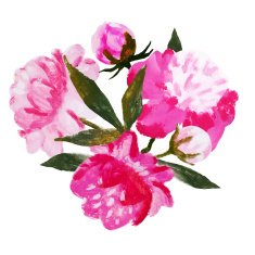 Nice watercolor flowers