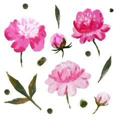 Nice watercolor flowers N2
