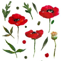Nice watercolor flowers N3