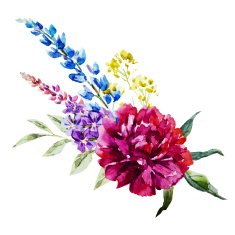 Nice watercolor flowers N4