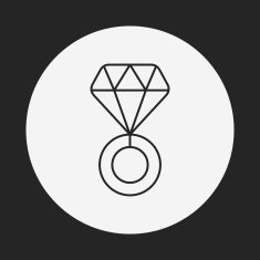 diamond ring line icon N20