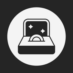 Diamond Ring Icon N28