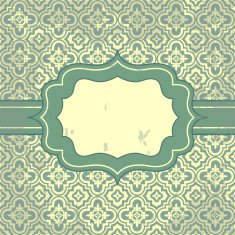 Vector vintage pattern and frame for design