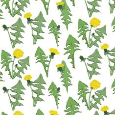 dandelion pattern N2