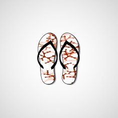 Abstract illustration on flip flops